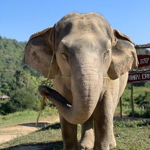 Meet your Posher, Christina